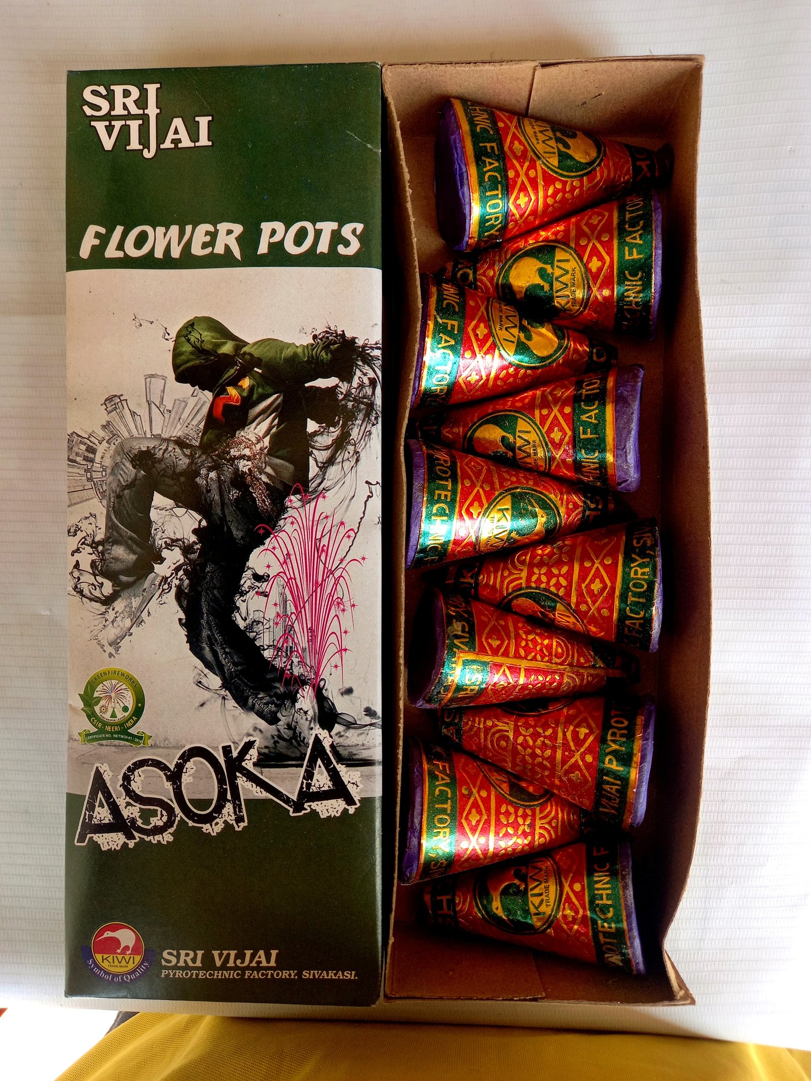 FLOWER POT ASOKA